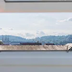 Greentreehomes - Penthouse Willow Lejlighed Bamberg